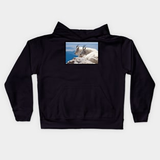 Mountain Goats Kids Hoodie